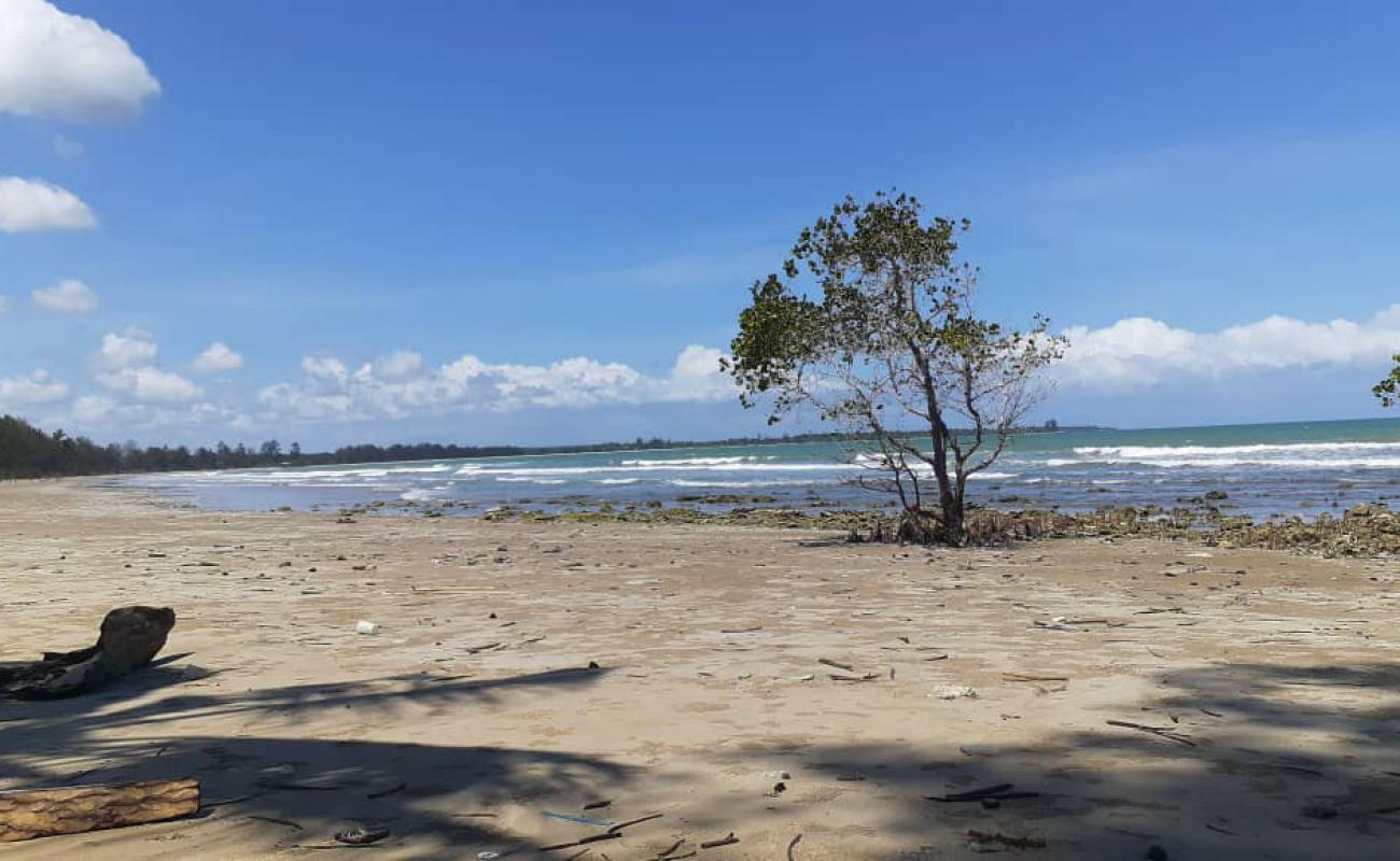 Foto af Tagupi Laut Beach med lys sand overflade