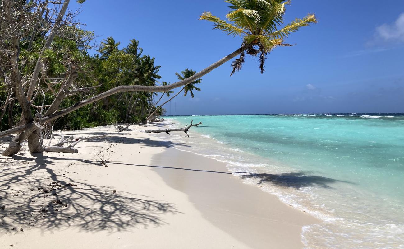 Foto af Omadhoo Beach med hvidt sand overflade