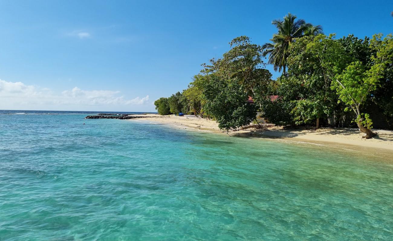 Foto af Rashdoo Beach med lys sand overflade