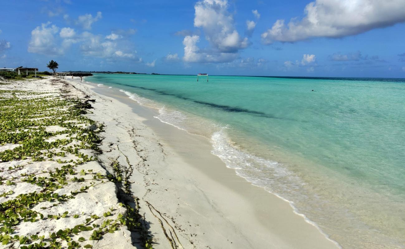 Foto af Dream Beach Thulusdhoo med hvidt sand overflade