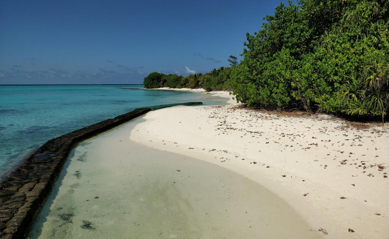 Foto af Rasfari island med hvidt sand overflade