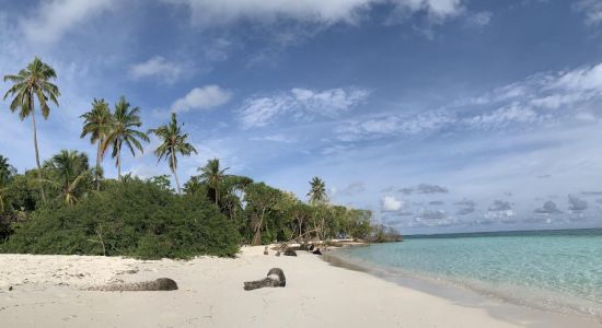 Goidhoo Beach