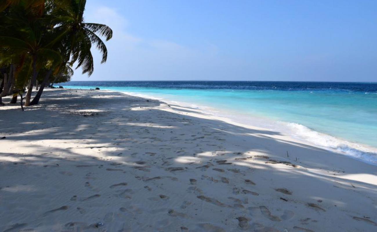 Foto af Guest Beach med hvidt sand overflade