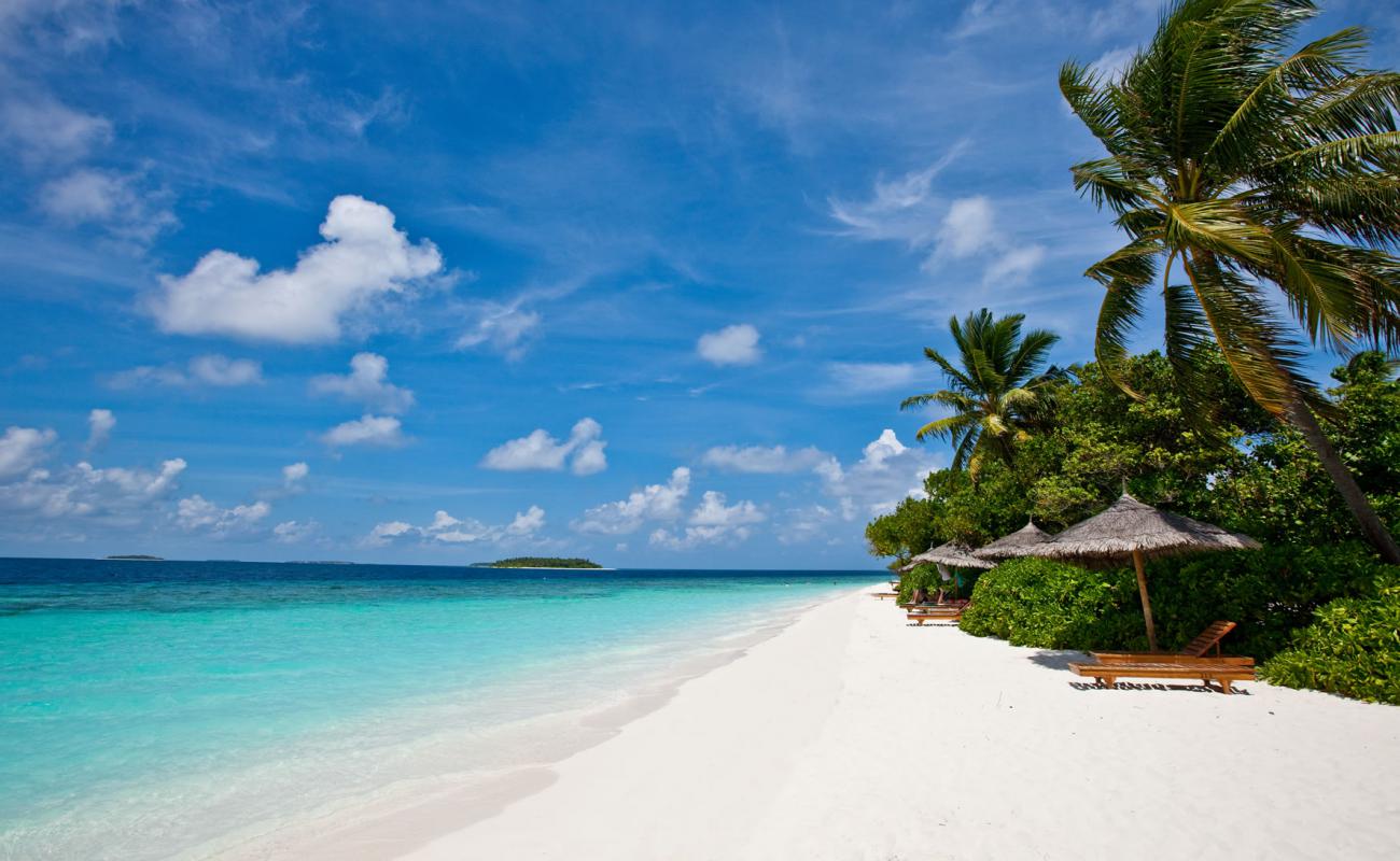 Foto af Fonimagoodhoo Island Strand med hvidt fint sand overflade