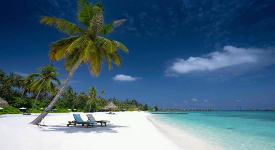 Kanifushi Island Strand