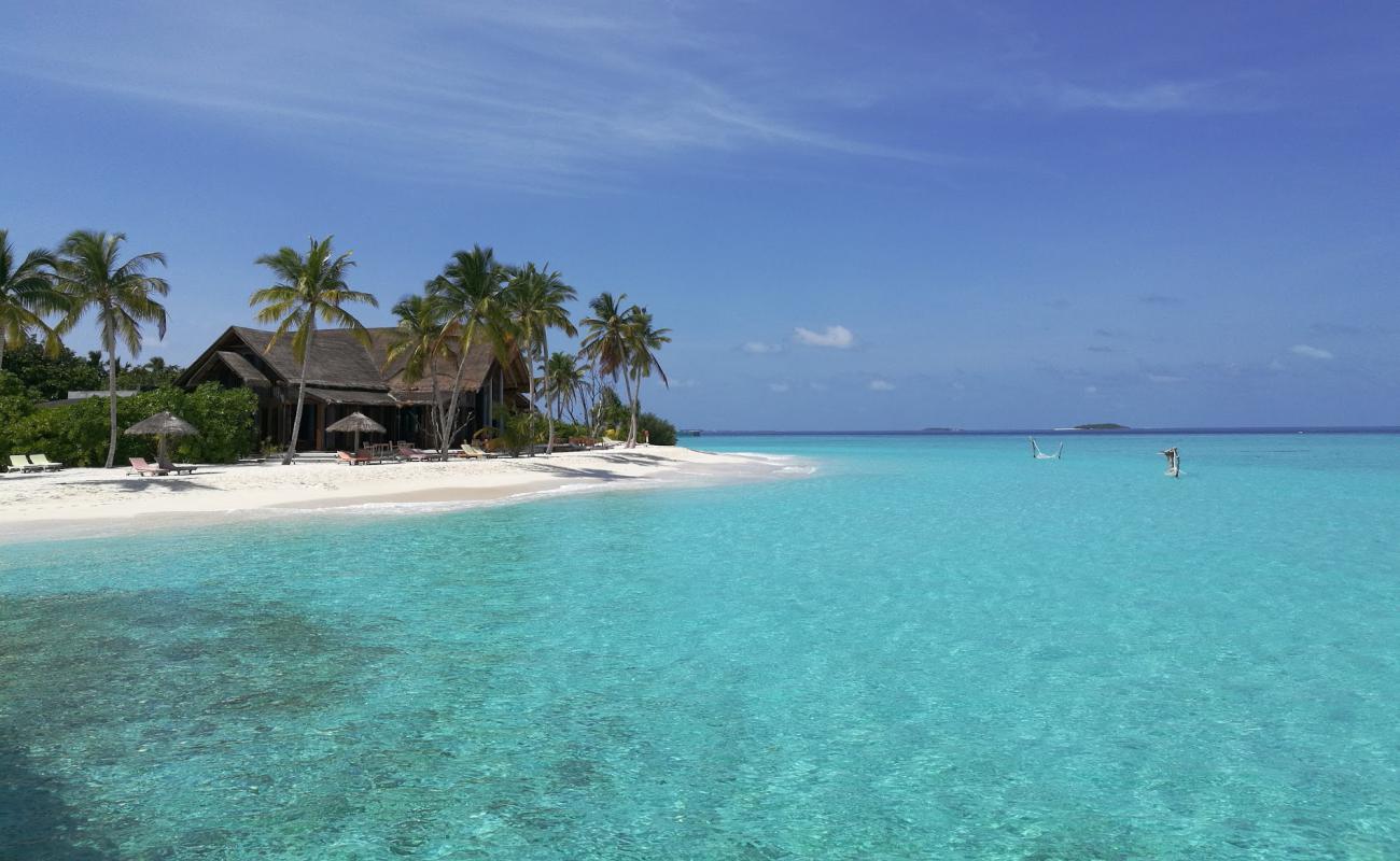 Foto af Furaveri Island Strand med hvidt sand overflade