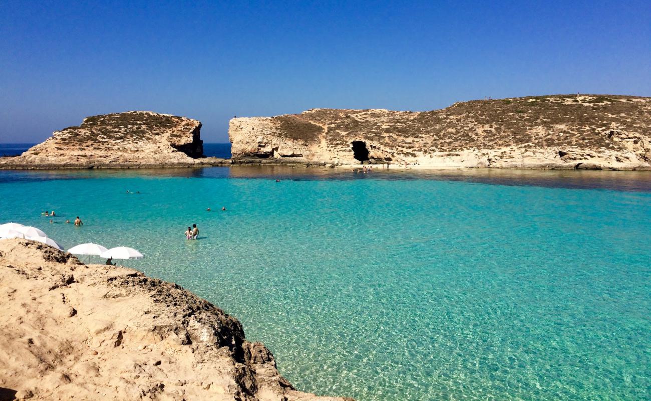 Foto af Cominotto Beach med lyst sand & sten overflade