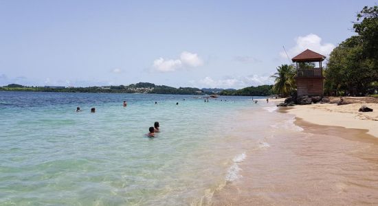 Plage de Trinite