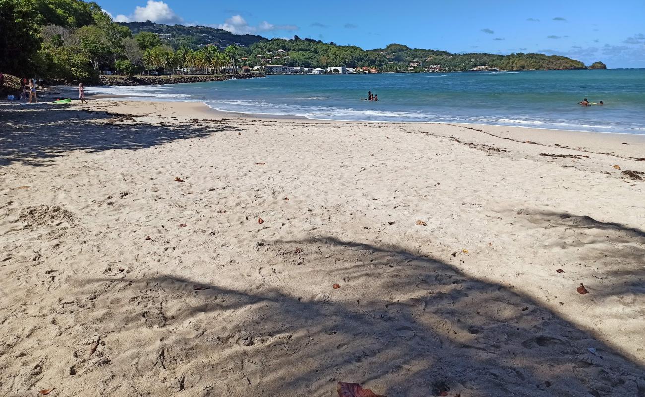 Foto af Plage des Raisiniers med lys fint sand overflade