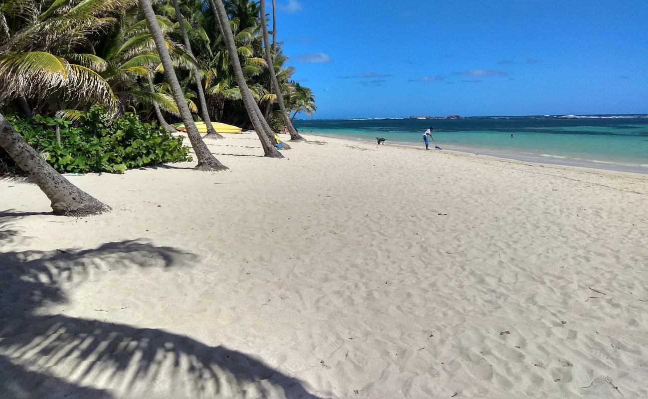 Foto af Anse Michel beach med lys skaldesand overflade