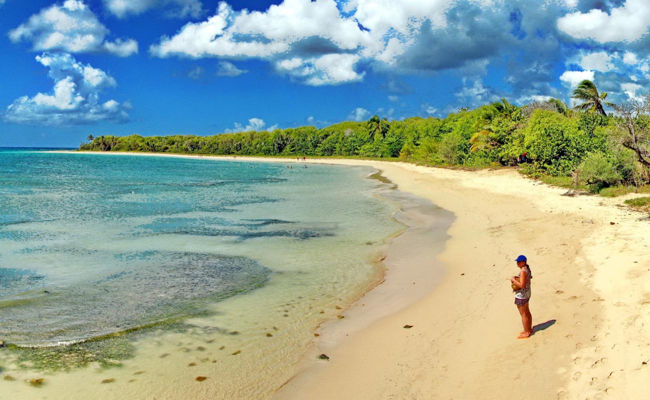 Foto af Grande terre beach med lys fint sand overflade