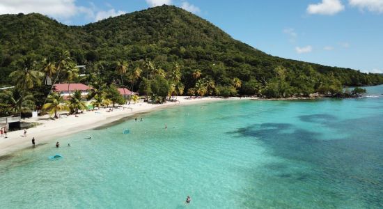 Anse Figuier Strand