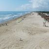 Playa De Tamiahua