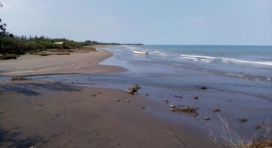 Playa el Zapote