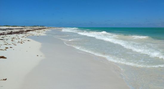 Isla Blanca