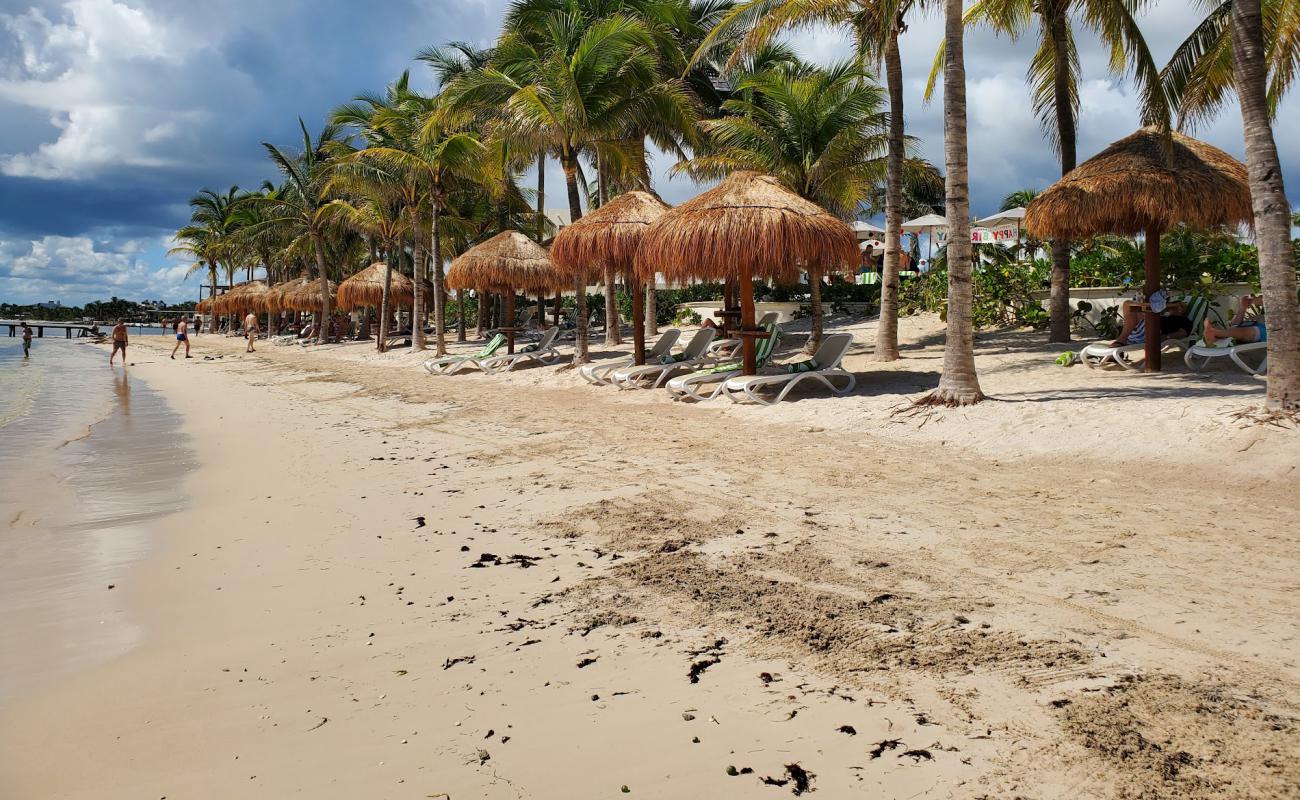 Foto af Hyatt Ziva Riviera Cancun med lys sand overflade