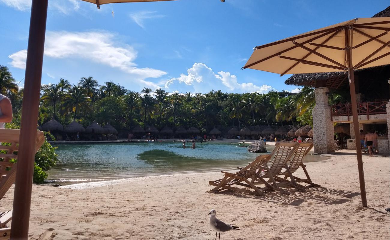 Foto af Delphinus Xcaret beach med lys sand overflade