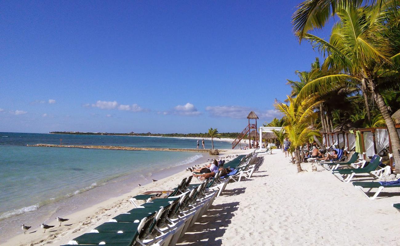 Foto af El Dorado hotel beach med lys fint sand overflade