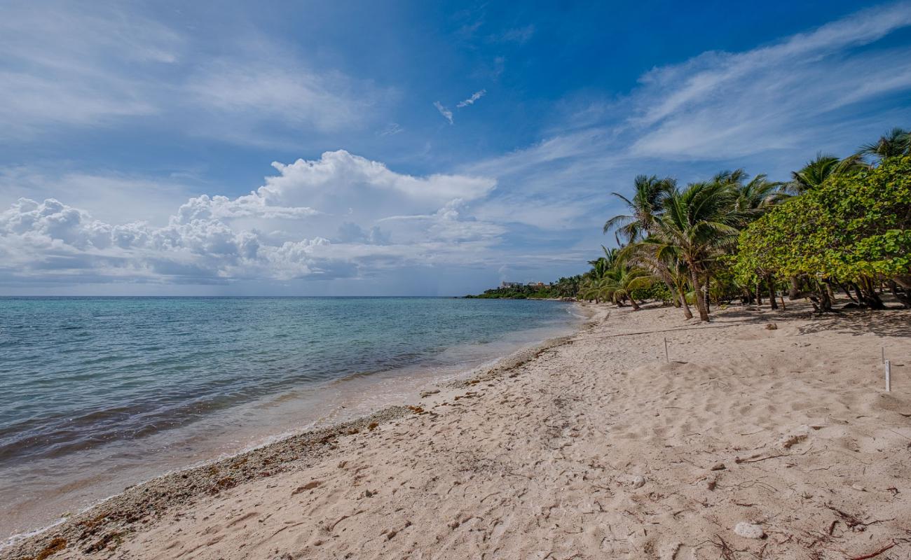 Foto af Playa Akumal II med lys sand overflade