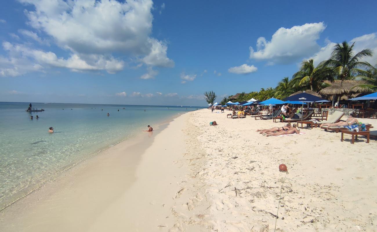 Foto af Playa Palancar med lys fint sand overflade