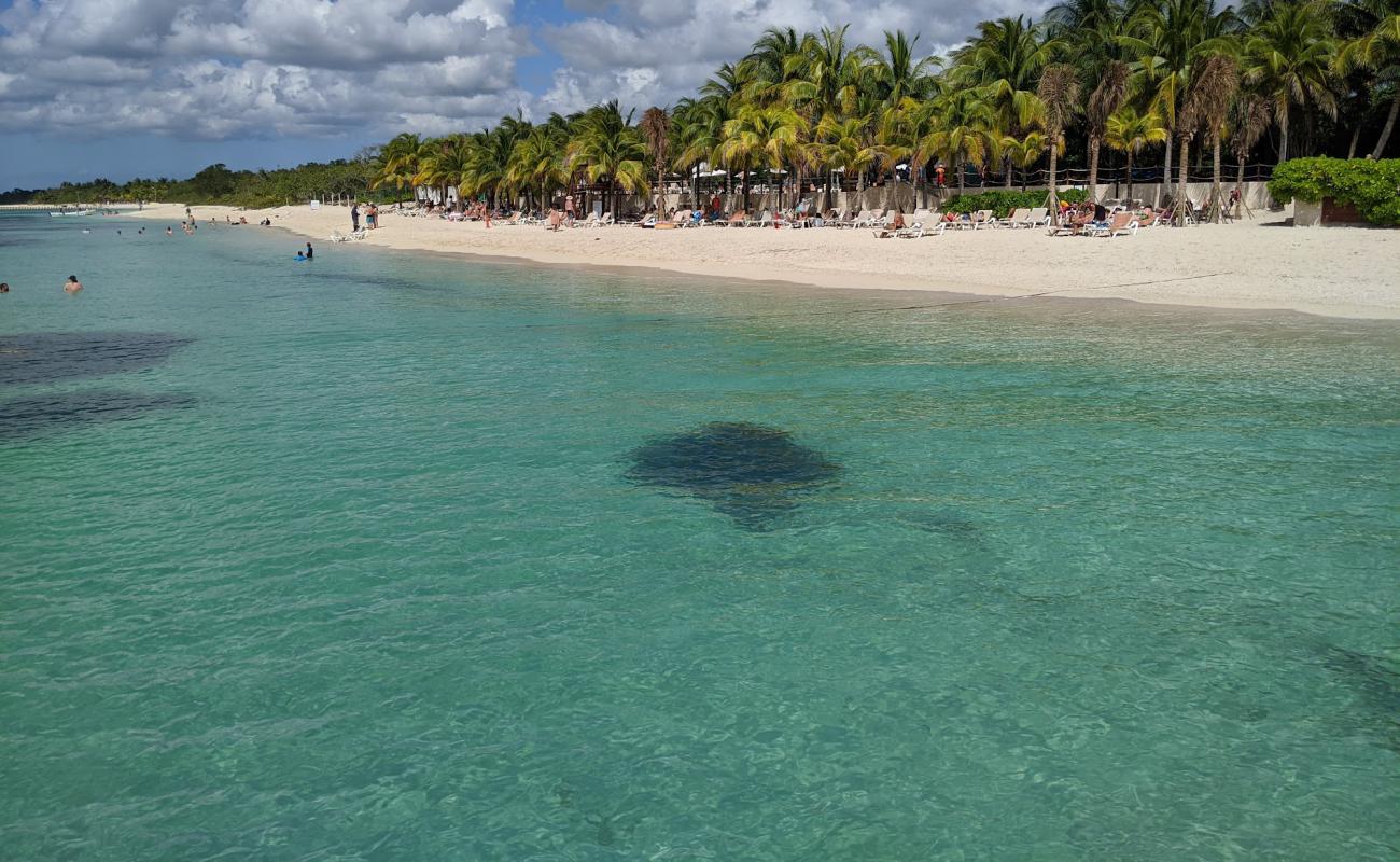 Foto af Occidental Cozumel med lys fint sand overflade