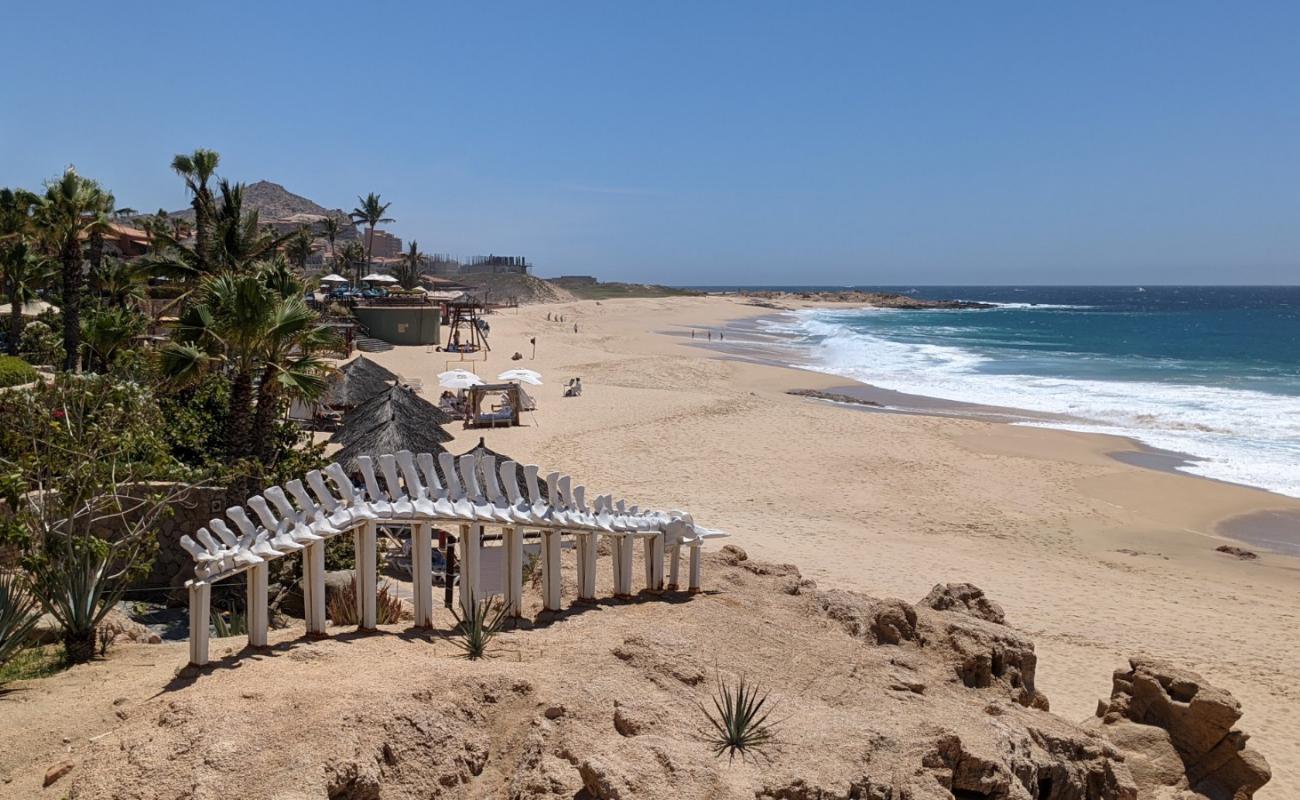 Foto af Playa Sheraton los Cabos med lys fint sand overflade