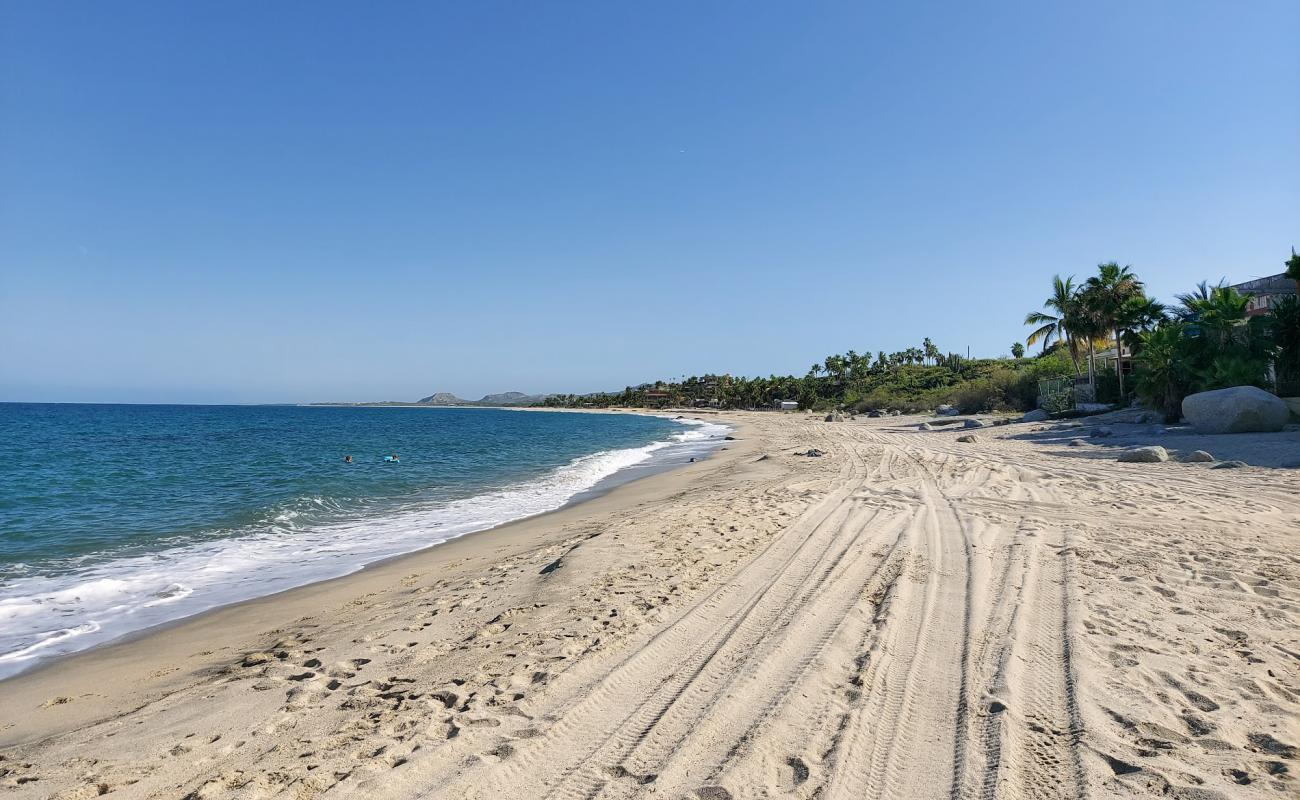 Foto af Playa buena vista med lys fint sand overflade