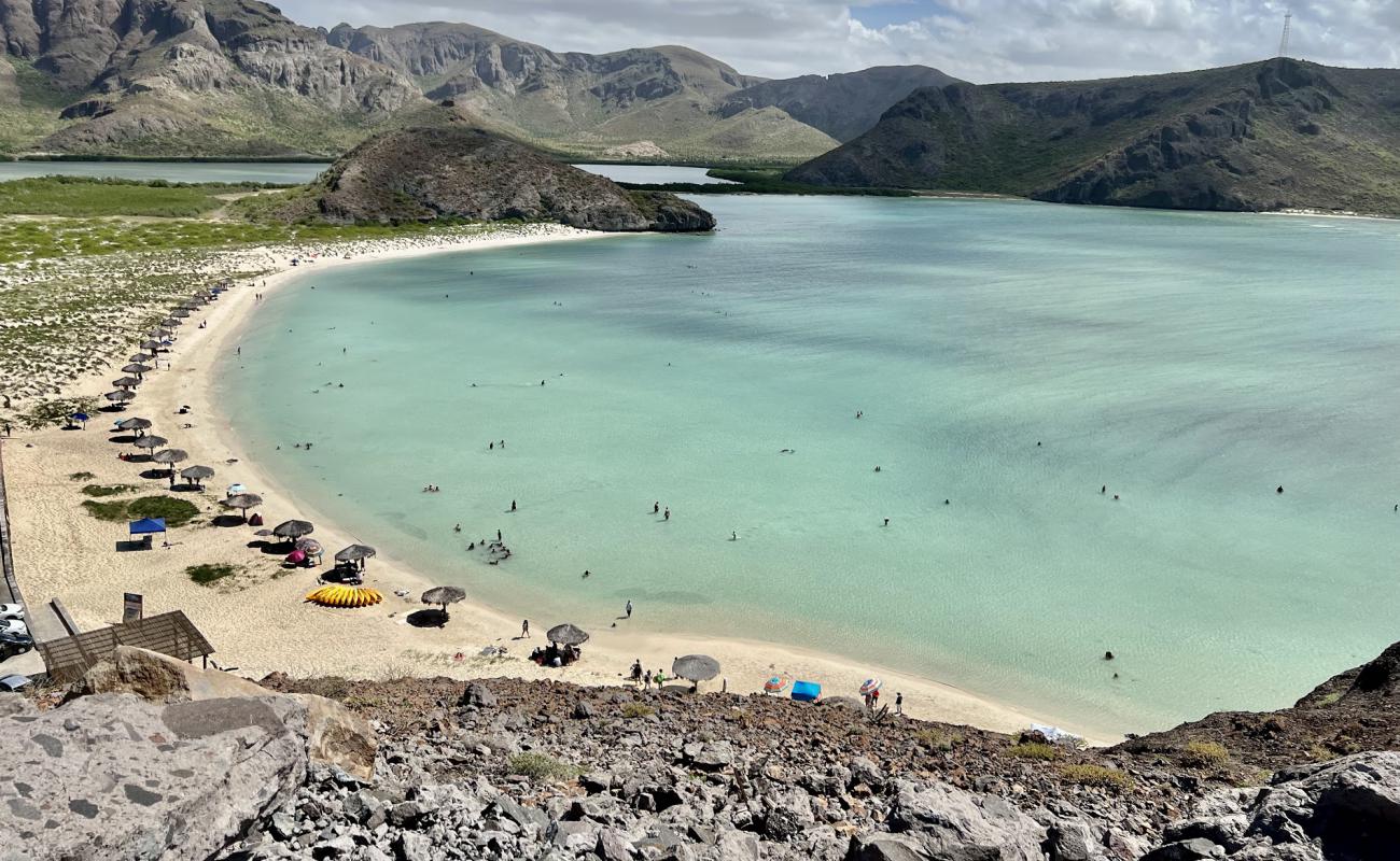 Foto af Playa Balandra med lys fint sand overflade