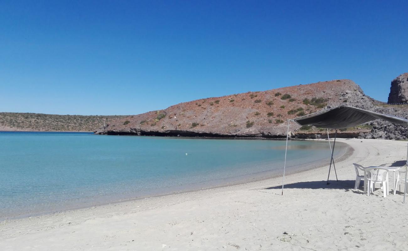 Foto af Playa El Tesoro med lys sand overflade