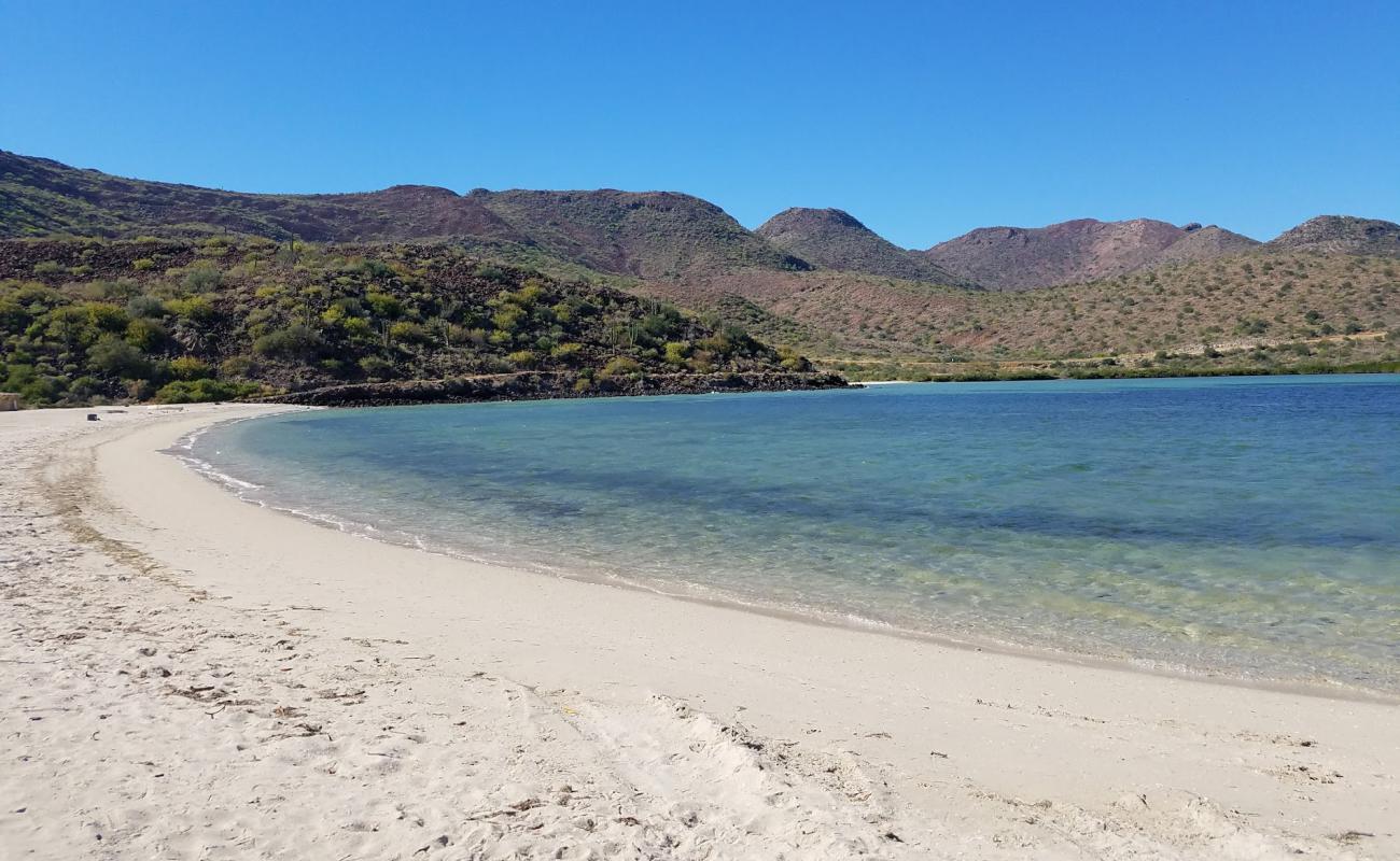 Foto af El Requeson Strand med lys fint sand overflade