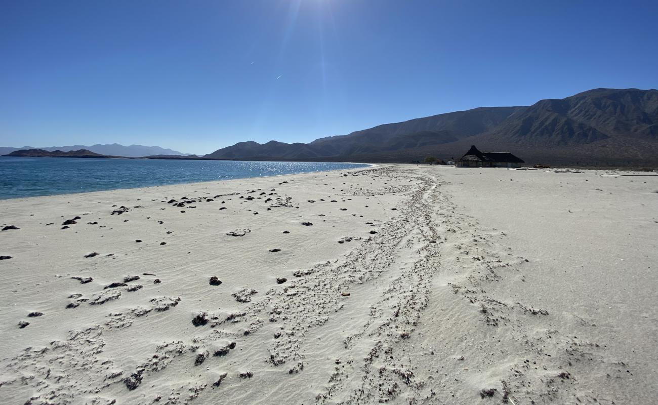 Foto af Playa El Pescador med lys fint sand overflade