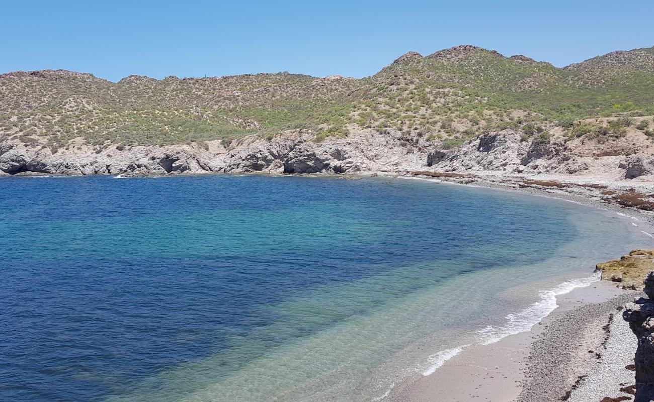 Foto af El Choyudito beach med grå sten overflade