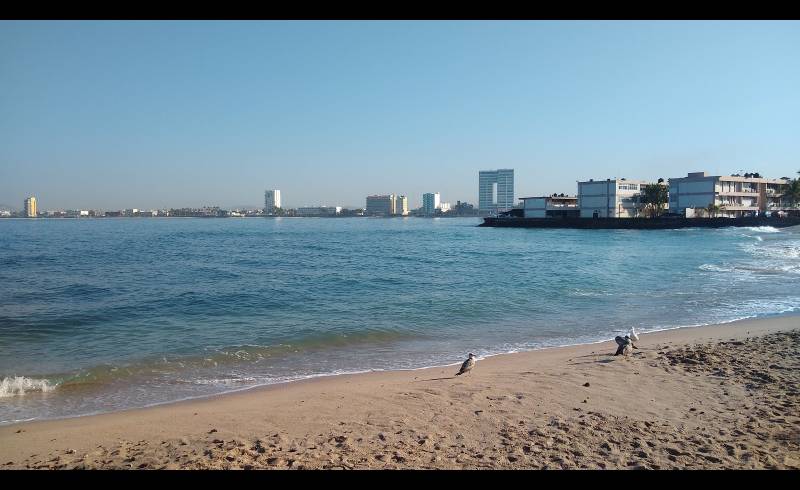 Foto af Los Pinitos beach med lys sand overflade