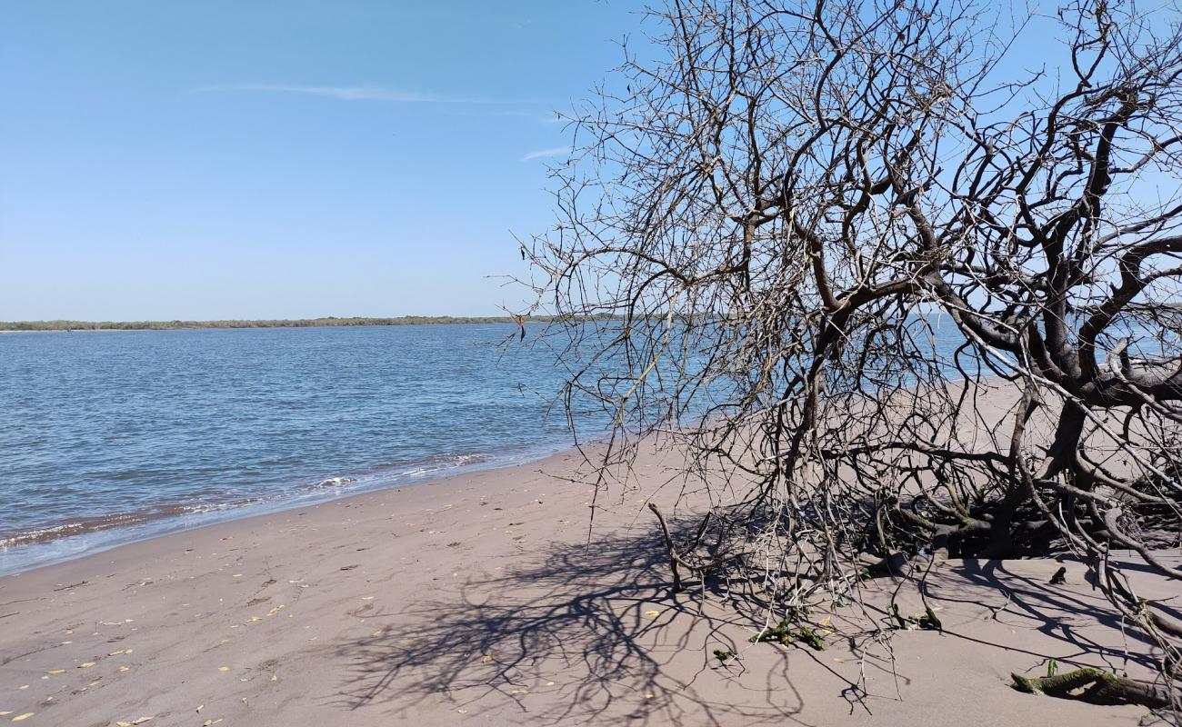 Foto af Puerta Palapares beach med lys sand overflade