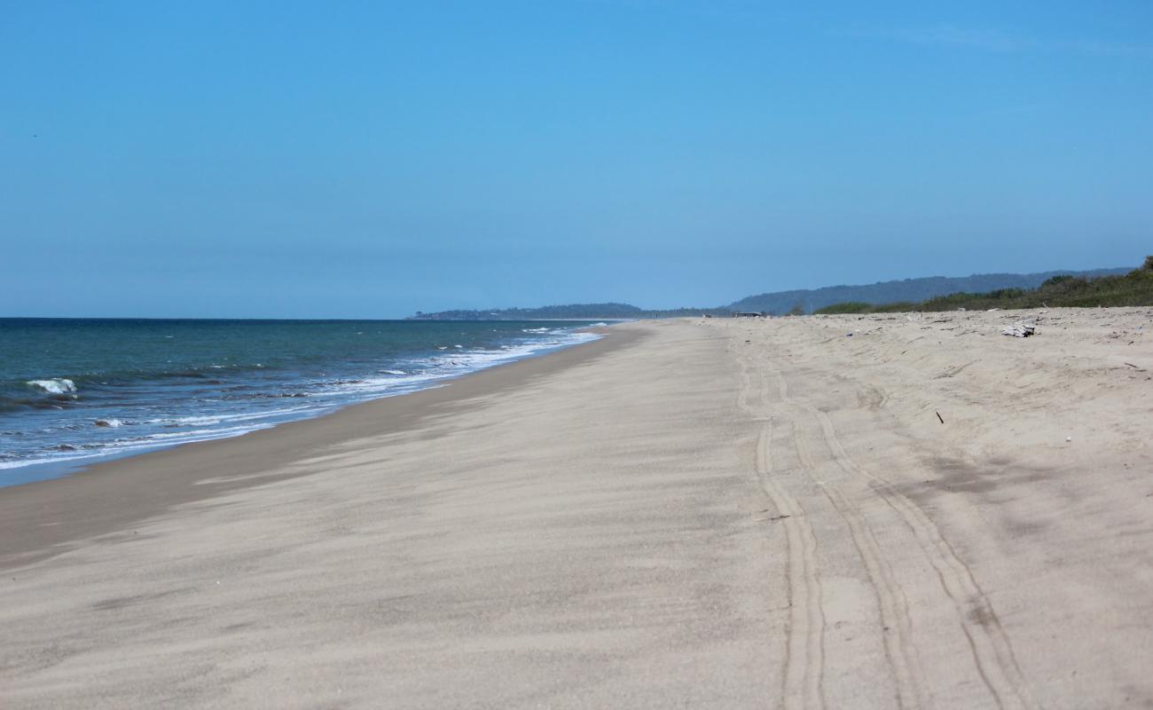 Foto af Chila beach II med lys sand overflade