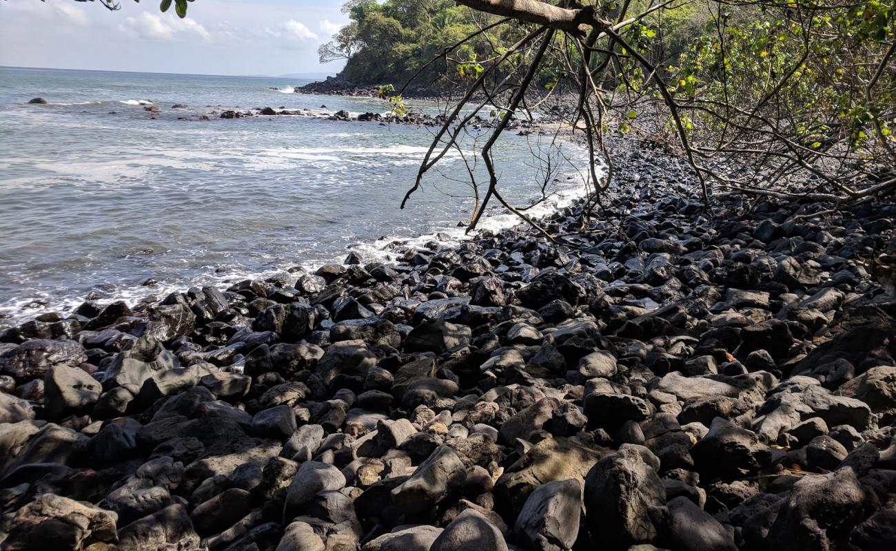 Foto af La Caleta beach med hvidt sand og klipper overflade