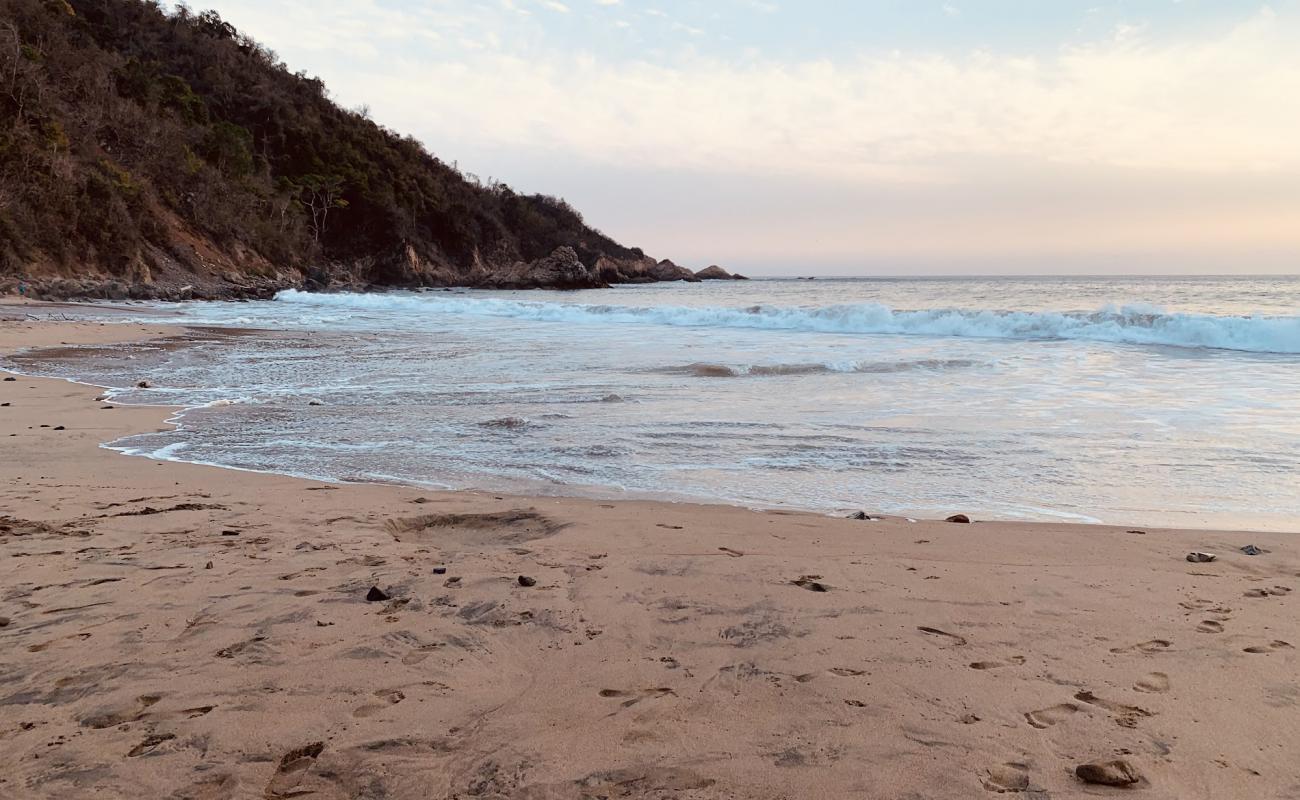 Foto af Playa el Palmito med fin brunt sand overflade