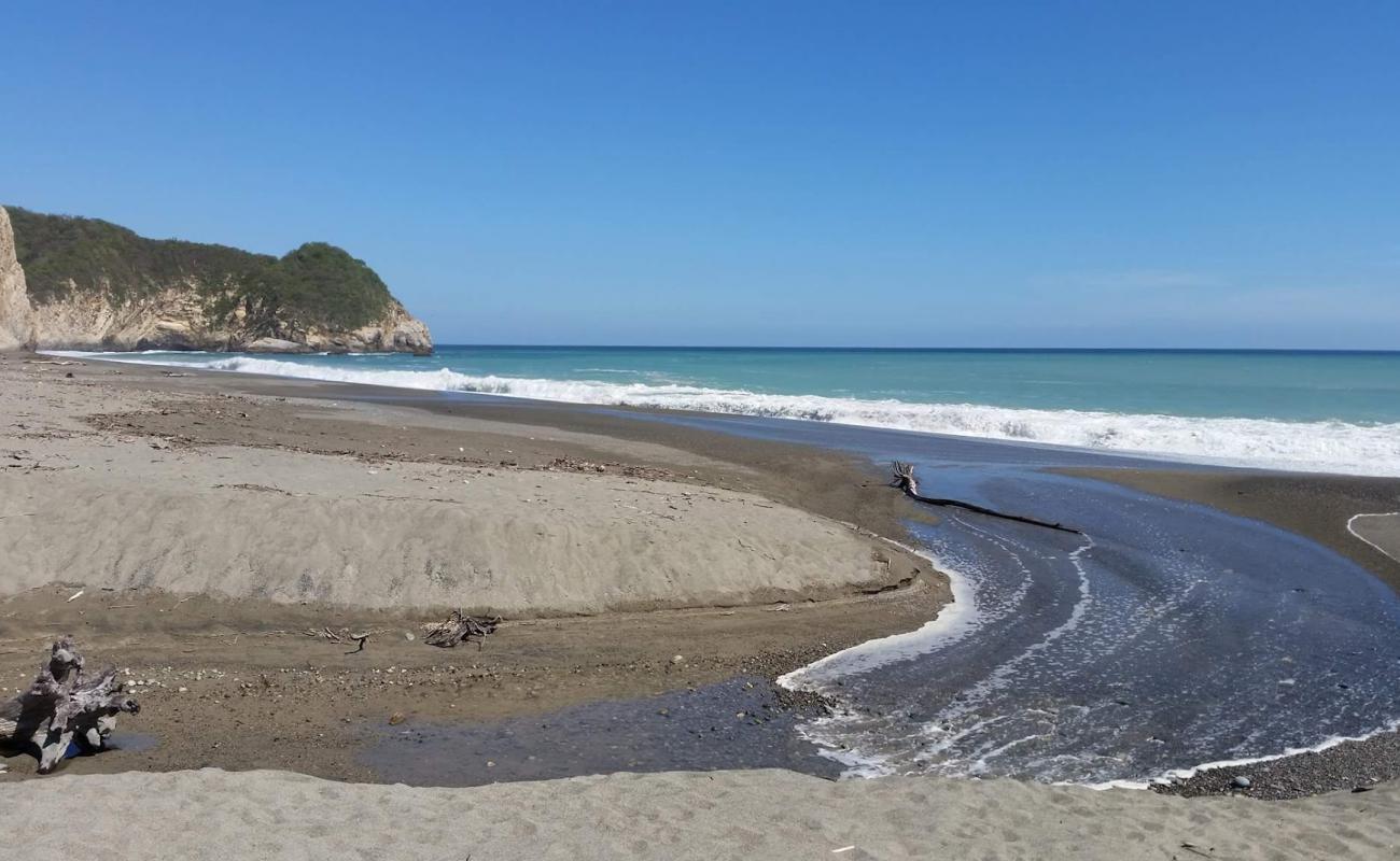 Foto af Playa De Hidalgo med brunt sand overflade