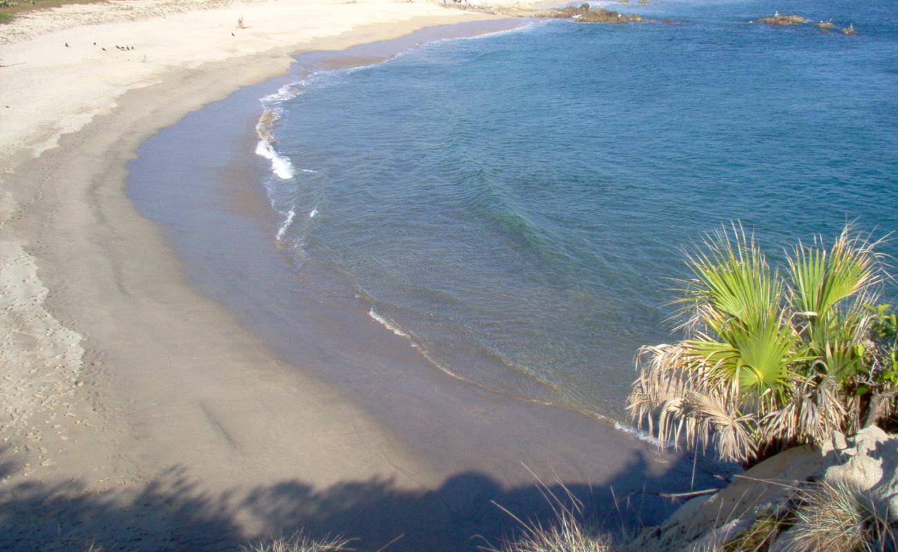 Foto af Playa del sur med lys sand overflade