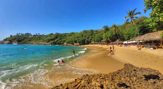 Carrizalillo Stranden