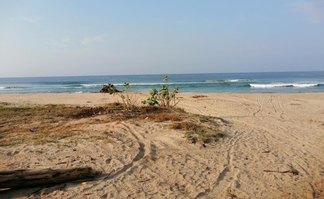 Foto af Playa Los Naranjos med lys fint sand overflade