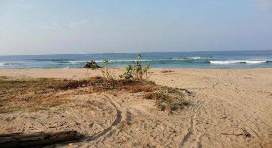 Playa Los Naranjos