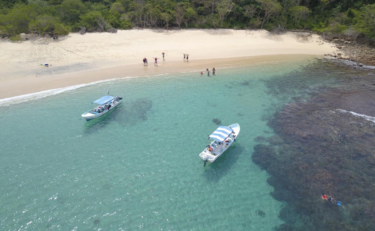 Foto af India beach med lys sand overflade