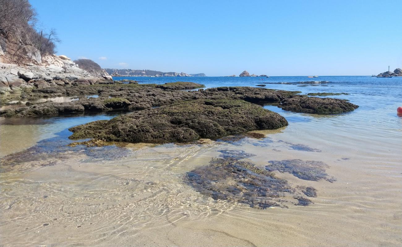 Foto af Los Compas beach med lys sand overflade