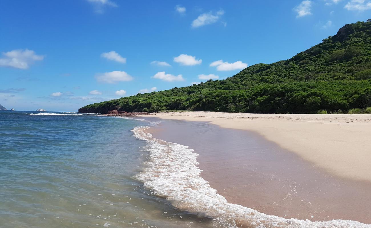 Foto af Venados beach med lys fint sand overflade