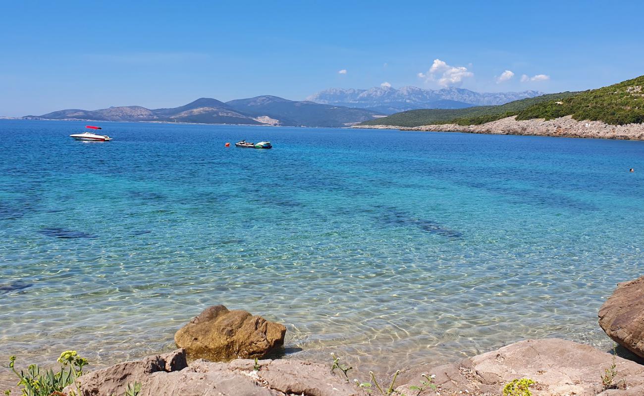 Foto af Plazha Zhukovica med lys sand overflade