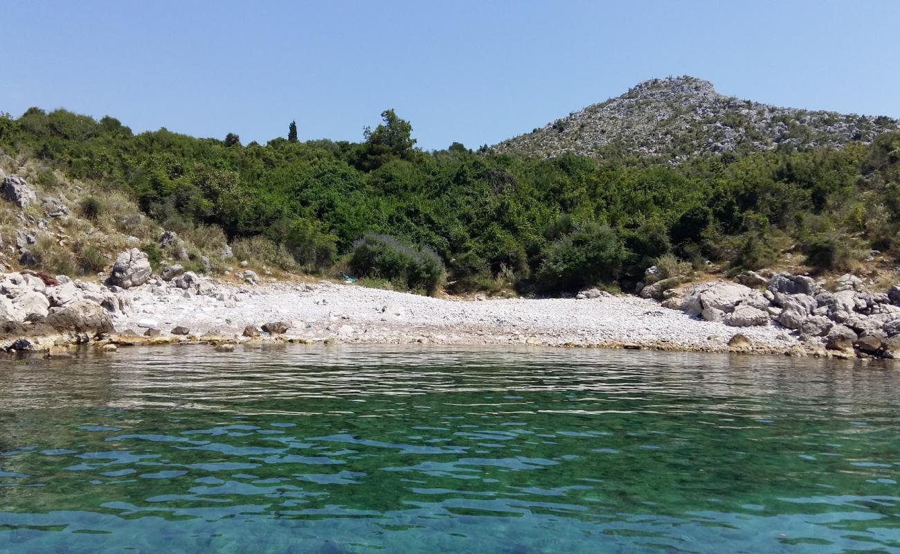 Foto af Bigovica beach med sten overflade