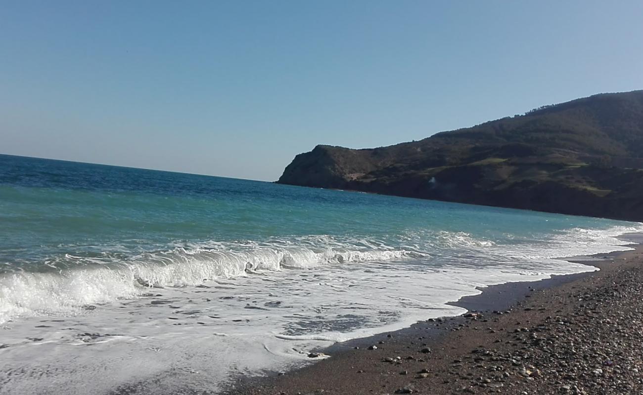 Foto af Tamernout plage II med gråt sand og småsten overflade