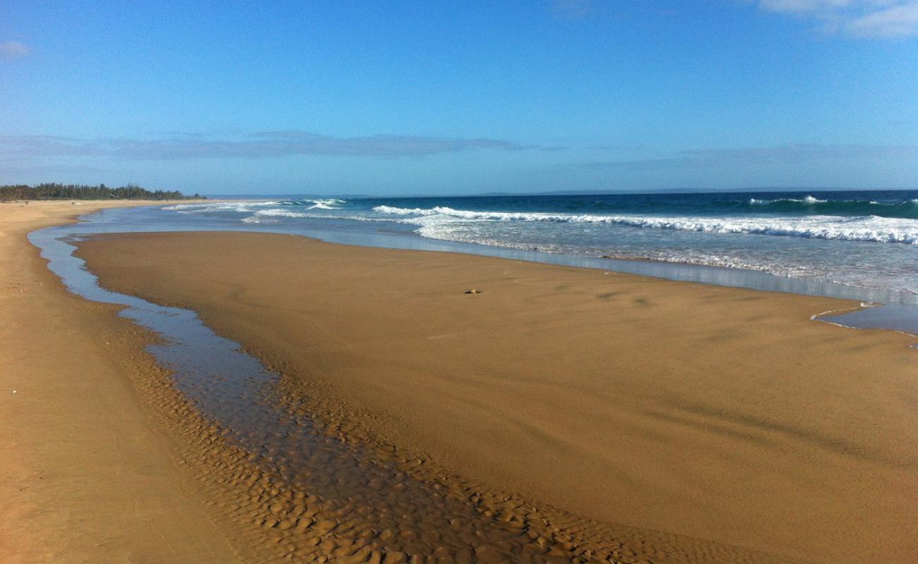 Foto af Praia da Barra med lys fint sand overflade