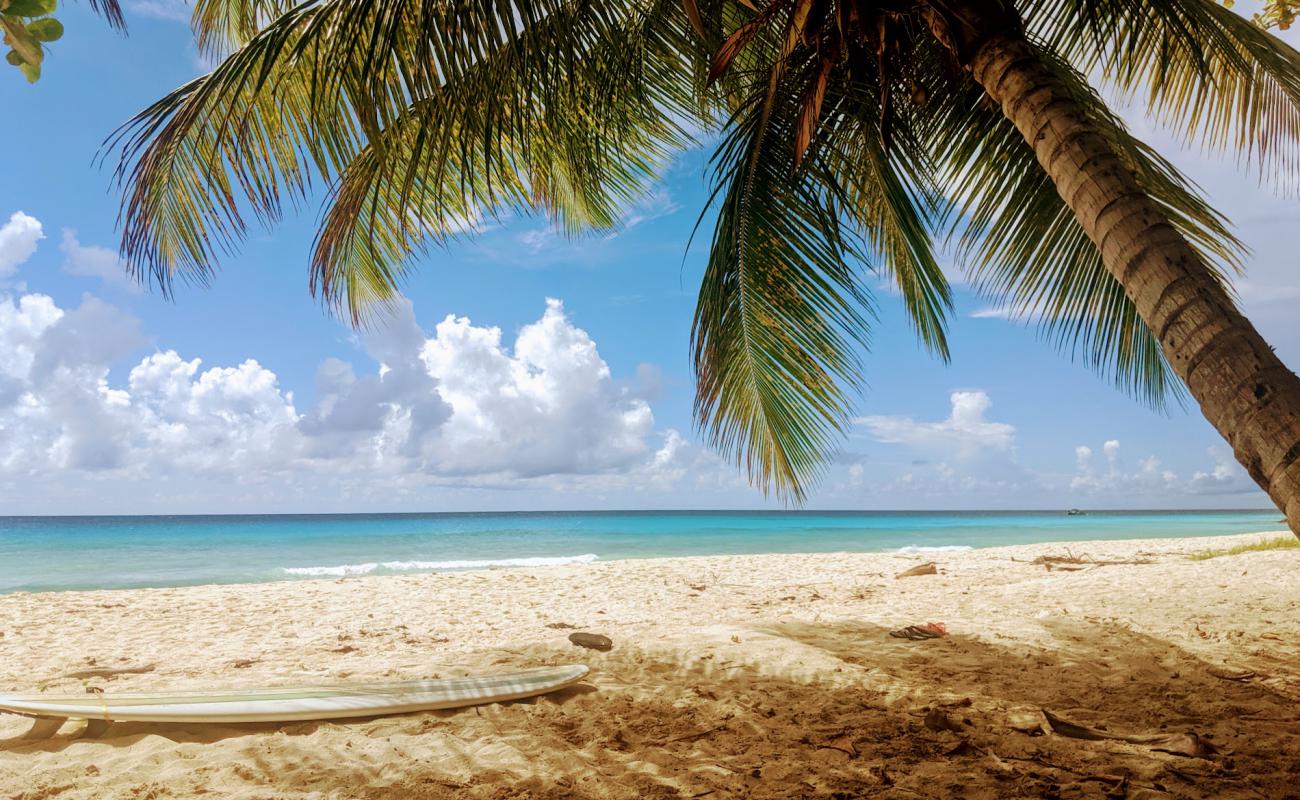 Foto af Drill Hall beach med lys sand overflade